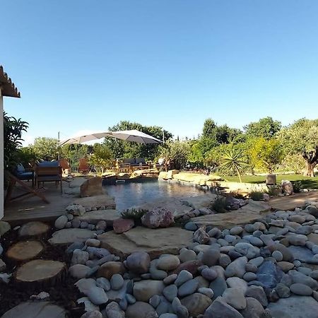 Une Oasis Au Pays De Cezanne Aix-en-Provence Dış mekan fotoğraf