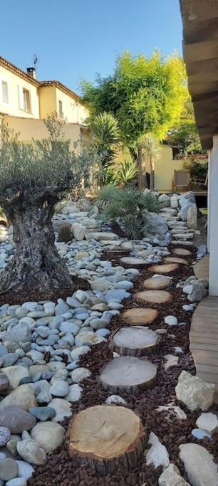 Une Oasis Au Pays De Cezanne Aix-en-Provence Dış mekan fotoğraf