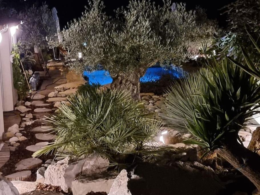 Une Oasis Au Pays De Cezanne Aix-en-Provence Dış mekan fotoğraf