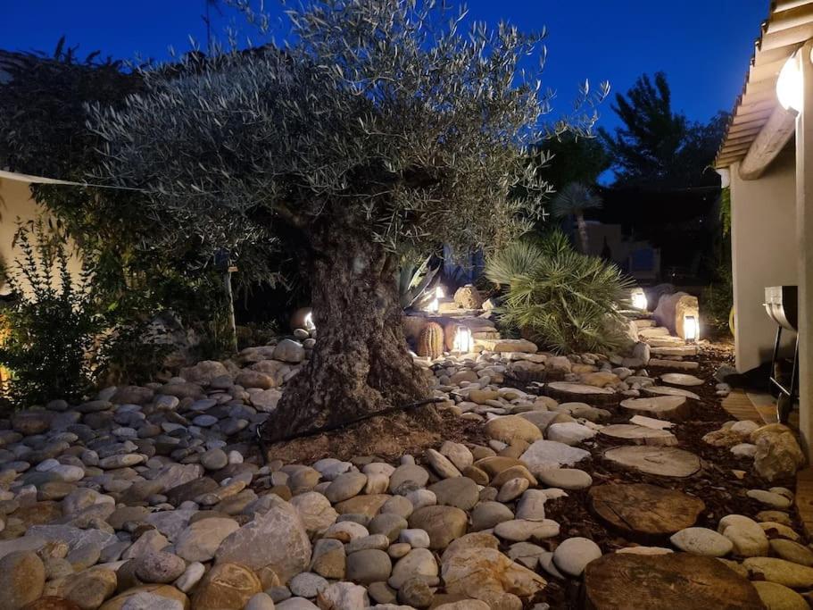 Une Oasis Au Pays De Cezanne Aix-en-Provence Dış mekan fotoğraf